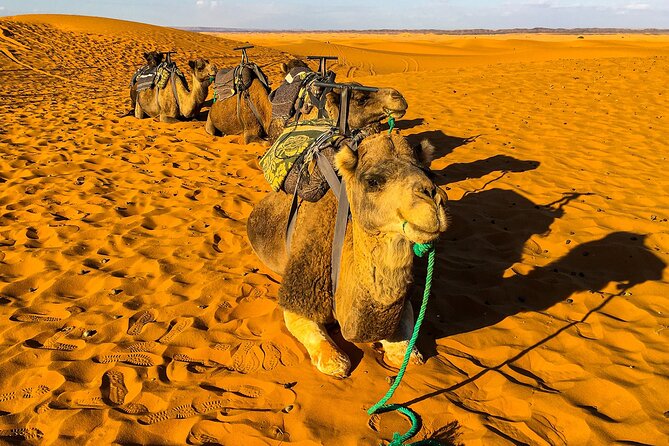 3-Days Desert Tour to Merzouga Dunes - Meals and Accommodation