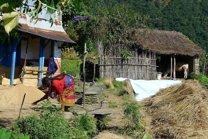 3 Days Dhampus Sarangkot Hike - Common Questions