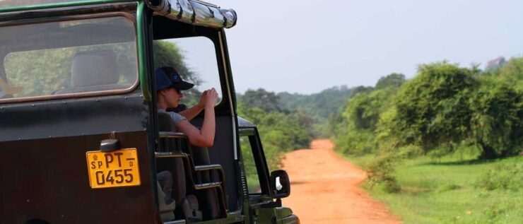 3 Days - Different Discovery Private Wildlife Tour - Day 1: Sinharaja Rainforest Exploration