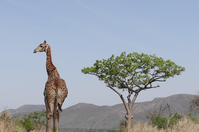 3 Days Durban Safari Tour Package - Booking and Contact Information