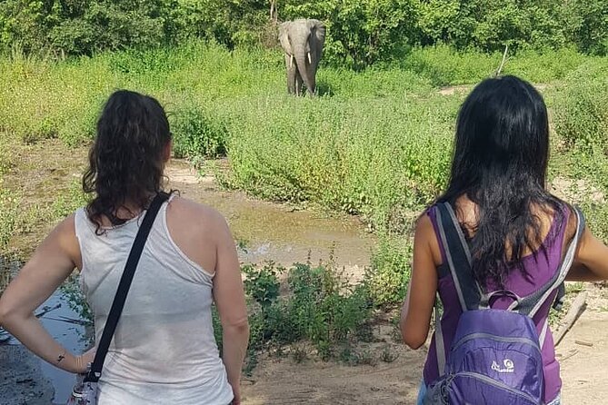 3 Days Elephants Safari at Mole Park With Round - Trip Flights - Good To Know