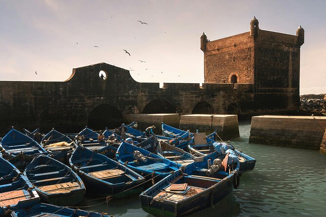 3 Days Essaouira Experience With Full Day Horse Ride and Picnic - Good To Know