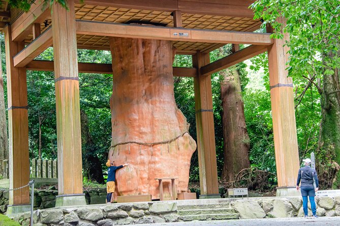 3-Days Experience to Feel the Nature of Aso - Common Questions