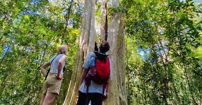 3 Days Exploring Cat Tien National Park From Dalat - Day 1: Transfer and Exploration