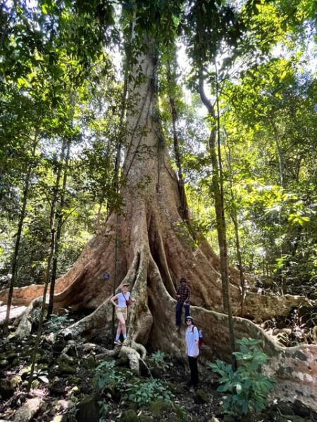 3 Days Exploring Cat Tien National Park From Dalat - Inclusions and Transportation