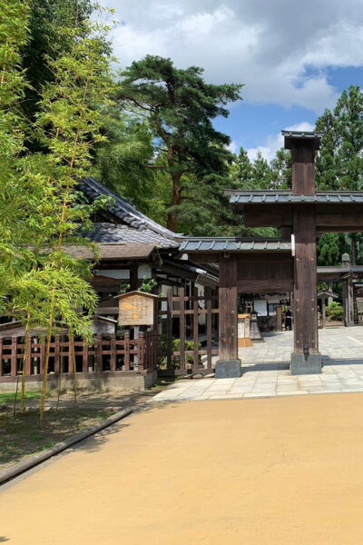 3 Days Fantastic Attractions Tour Tokyo+Nikko+Mt.Fuji Ect - Tips for a Great Experience