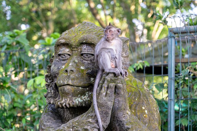 3 Days for the Best of Ubud Private Tour - Itinerary and Activities