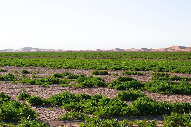 3 Days From Marrakech To Erg Chigaga - The Sum Up