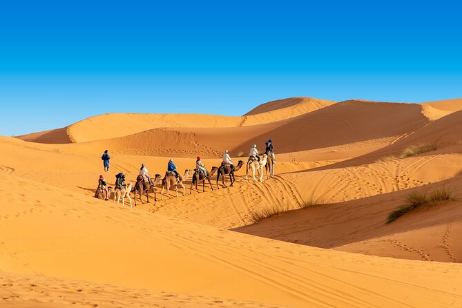 3-Days From Marrakech to Merzouga Tour With Camel Trek - Tour Highlights