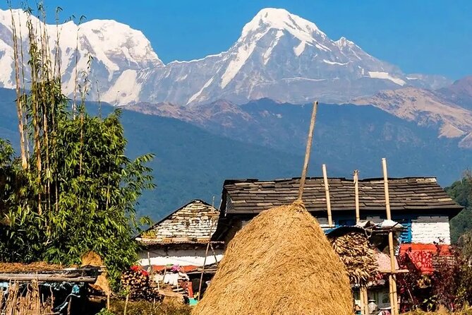 3 Days Ghorepani and Poonhill Private Trek From Pokhara - Traveler Photos