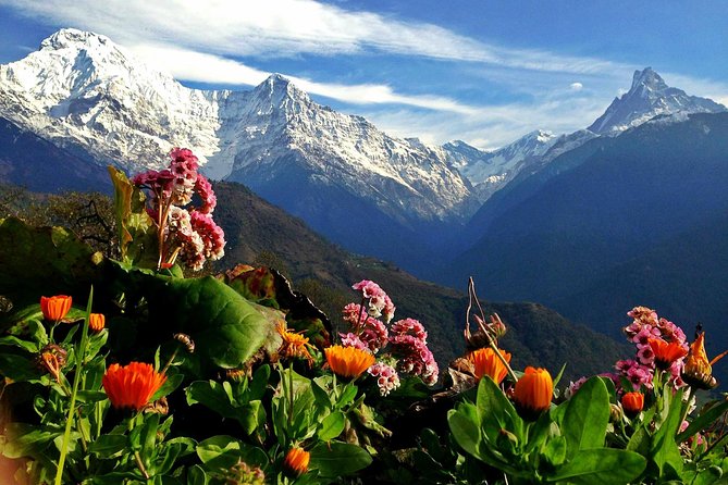 3 Days Ghorepani Poonhill Trek From Pokhara - Transportation and Accommodation