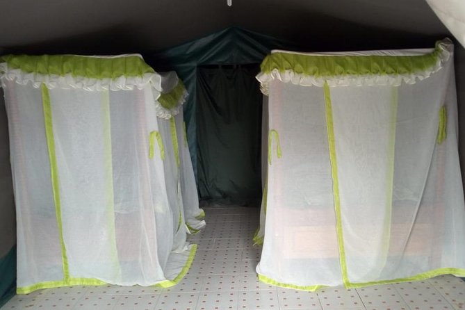 3 Days Great Migration Camping Safari in Maasai Mara National Reserve, Kenya - Safety and Health Guidelines