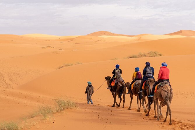 3 Days Group Budget Desert Tour With Luxury Camp - Accommodation and Camp Facilities