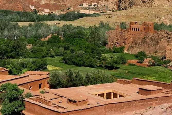 3 Days Group Budget Desert Tour With Luxury Camp - Activities and Experiences