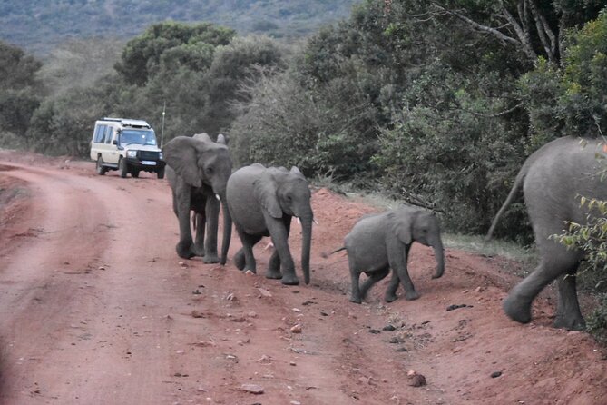 3 Days Group Joining Safari to Maasai Mara With a Land Cruiser Jeep - Inclusions and Exclusions