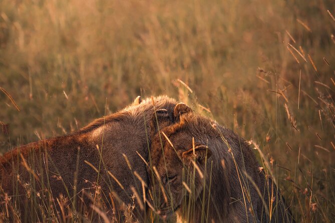 3 Days Group Tour Tarangire, Ngorongoro & Lake Manyara Park - Frequently Asked Questions