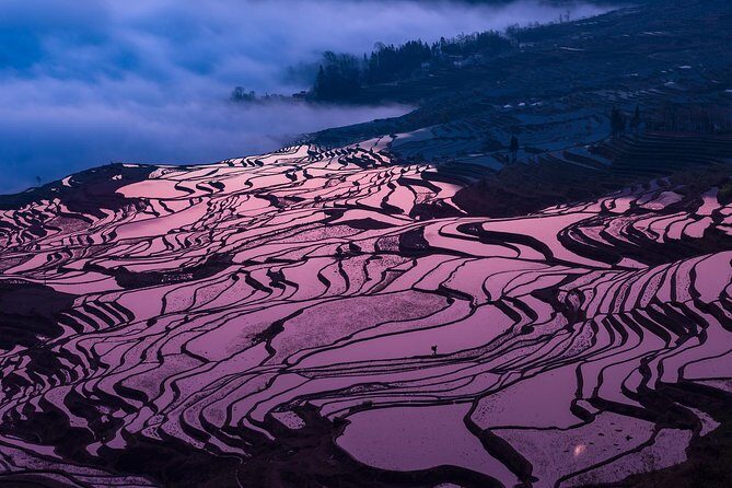 3 Days Group Tour to Jianshui and Yuanyang - Transportation and Group Dynamics