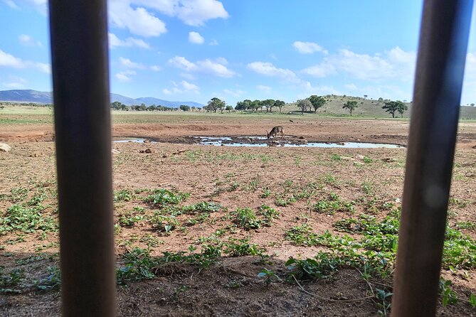 3-Days Guided Safari Tour of Tsavo East & Taita From Nairobi. - Itinerary Highlights