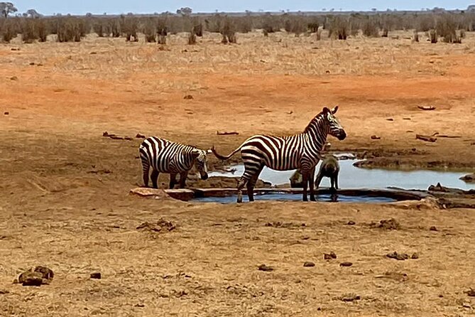 3-Days Guided Safari Tour of Tsavo East & Taita From Nairobi. - Important Reminders