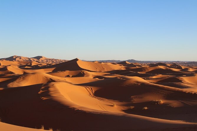 3 Days Guided Tour From Marrakech to Fes via Desert - Reviews and Cancellation Policy