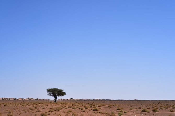 3 Days Guided Tour From Marrakech to Fes via Desert - Common Questions
