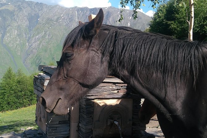 3 Days Holiday Package In Georgia (Kazbegi) - Frequently Asked Questions