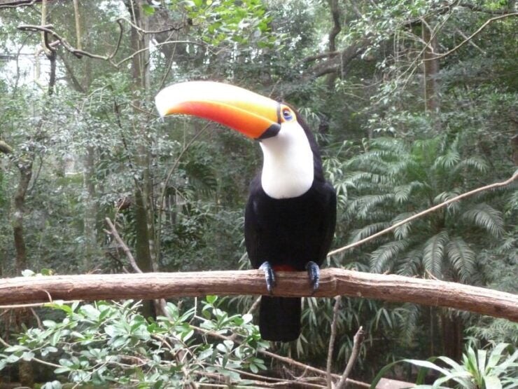 3-days Iguassu Falls Tour - Good To Know