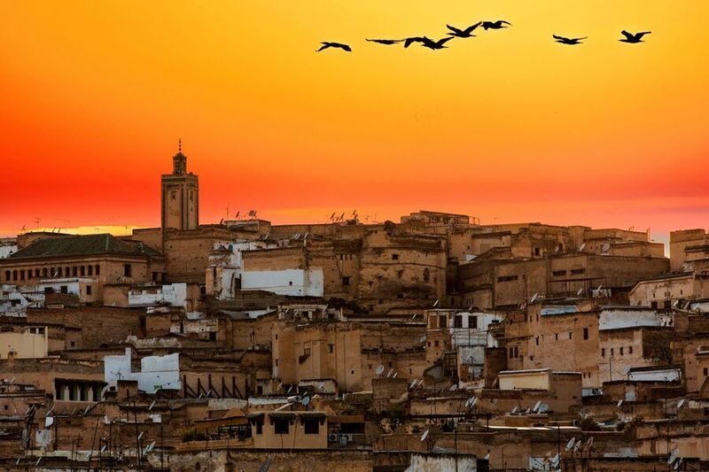 3 Days Imperial Cities of Morocco Tour from Marrakech - Who will get the most from this route