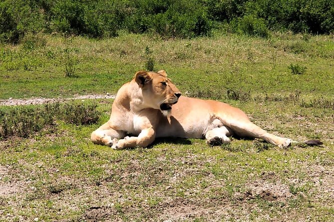 3 Days In Ngorongoro Crater, Tarangire & Manyara Private Safari - Booking and Cancellation Policies