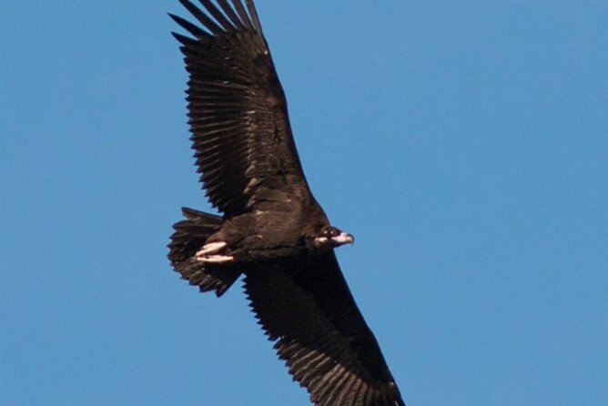 3-Days in Private Tour Knowing The Kingdom of the Vulture - Itinerary Highlights