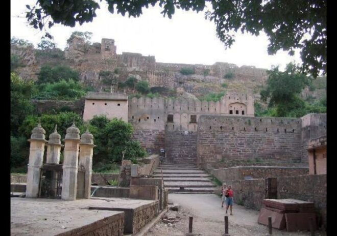 3 Days Jaipur Tour With Ranthambore National Park - Experience