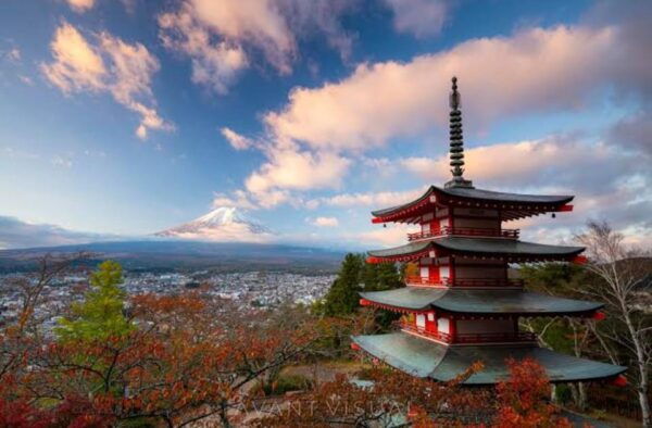 3 Days Japan Tour Tokyo , Mt Fuji and Nikko (English Driver) - Frequently Asked Questions