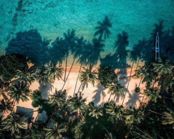 3 Days Javas Journey Yogyakarta to Jakarta - Questions You May Have