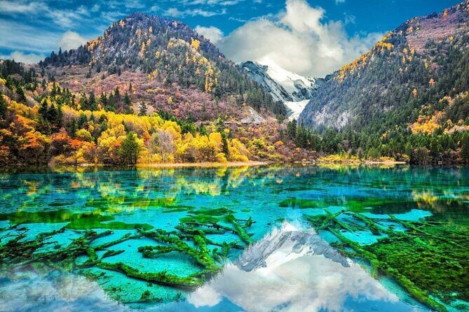 3 Days Jiuzhaigou and Huanglong Tour by Fast Train from Xian - Good To Know