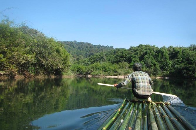 3 Days Jungle Trek in Virachey Forest - What To Expect