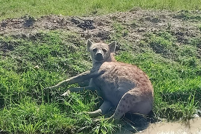 3 Days Kilimanjaro & Tsavo Special Safari - The Sum Up