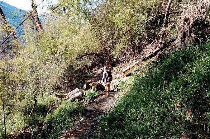 3 Days Kori Trek from Pokhara - Authentic Experiences and Unique Insights from Reviewers