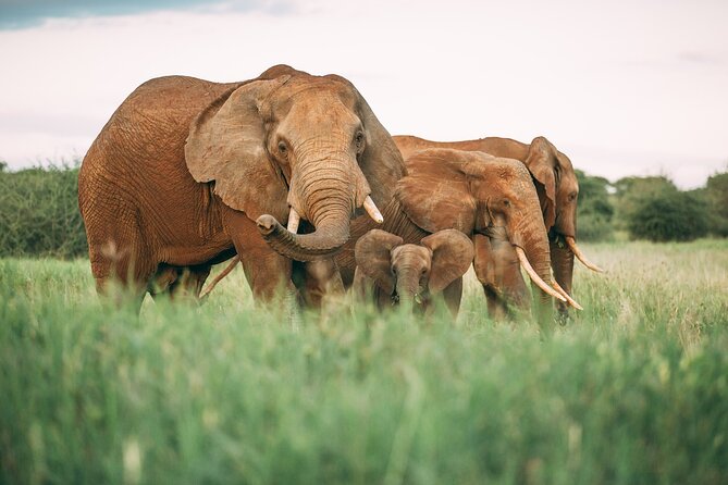 3-Days Lodge Safari in Tarangire, Ngorongoro Crater & Lake Manyara - Accommodation Details