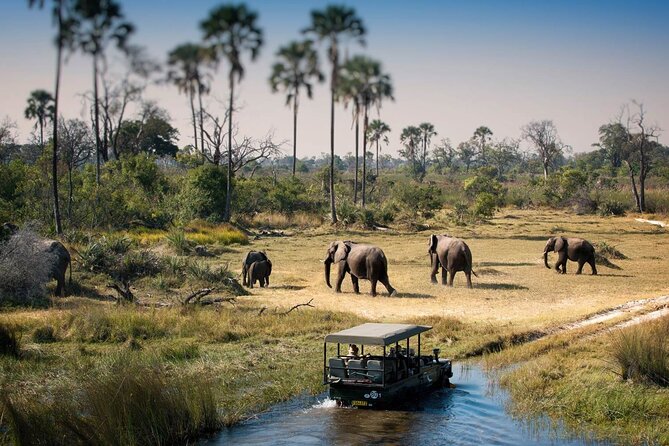 3-Days Lodge Safari in Tarangire, Ngorongoro Crater & Lake Manyara - Wildlife Sightings
