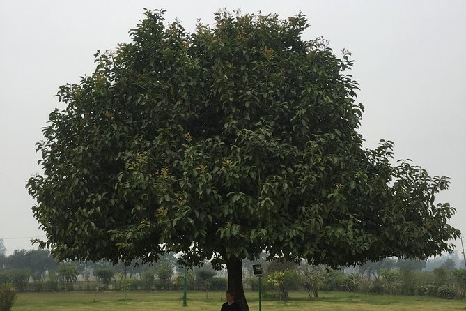 3 Days Lumbini Tour From Pokhara or Kathmandu - Common Questions