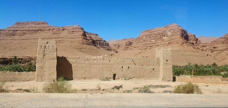 3 Days Luxury Desert Tour From Marrakech to Fes via Merzouga - Accommodation and Dining
