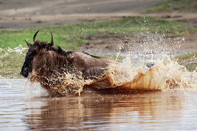3 Days Luxury Lodge Safari in Tanzania - Frequently Asked Questions