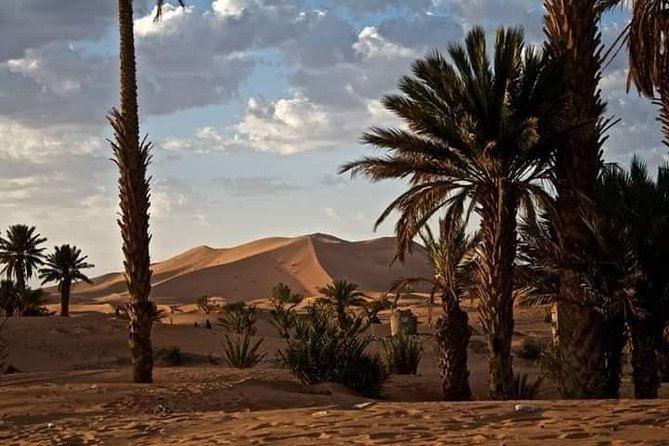 3 Days Luxury Private Desert Tour From Fez to Marrakech - Transportation and Guides