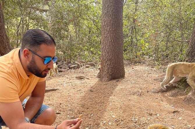 3 Days Luxury Private Excursion in Merzouga Desert From Fez - Accommodation and Amenities