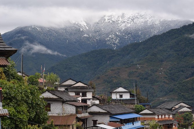 3 Days Lwang, Ghalel, Ghachowk Trek From Pokhara - Accommodation and Meals