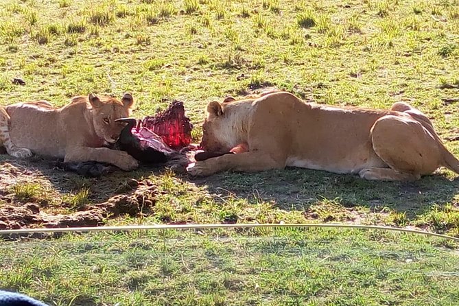 3 Days Maasai Mara Budget Group Safari - Itinerary Highlights