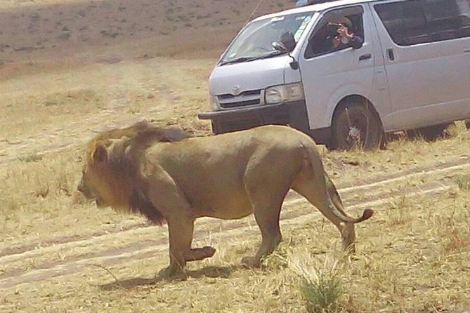 3 Days Maasai Mara Budget Group Safari - Booking and Cancellation Policies