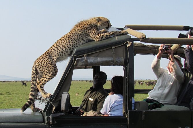 3 Days Maasai Mara Camping Safari on 4X4 Land Cruiser Jeep - Park Entry Fees