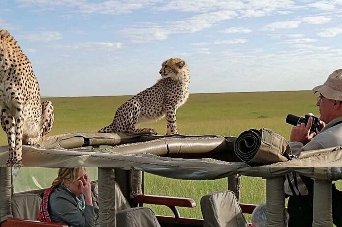 3 Days Maasai Mara Camping Safari on 4X4 Land Cruiser Jeep - Tour Experience Highlights