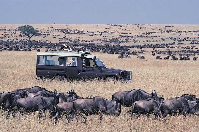 3 Days Maasai Mara Camping Safari on 4X4 Land Cruiser Jeep - Pricing and Booking